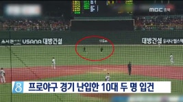 프로야구 경기 난입한 10대 두 명 입건