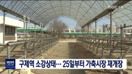 구제역 소강상태... 25일부터 가축시장 재개장