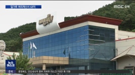 단독③ㅣ네네치킨 페이퍼컴퍼니, 밀가루 유통에도 관여