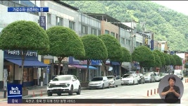 가로수도 미용해요 공존법 확산