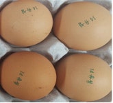 살충제 계란 8개 농장 부적합, 난각코드 14진일·14유성 등