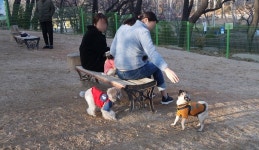 [르포] 재개장한 반려견 놀이터 가보니...입마개보다 필요한 것은
