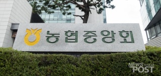 [단독] 은행 3년 횡령액의 2배, 김병원호 농협중앙회 감사체계 부실