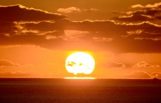 2021년 신축년 흰소의 해...새해 인사말 모아보기