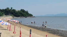 사람보다 갈매기가 더 많네...한산한 강화도 동막 해수욕장