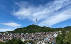 [도시탐구] 남산약수터서 영계백숙 먹고 한남동계곡서 목욕했다고?