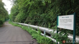 [도시탐구] 생태공원 난지도와 방송의 메카 상암동