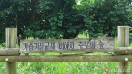 [도시탐구] 생태공원 난지도와 방송의 메카 상암동