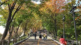 알록달록 인생샷 건지는...서울 단풍 명소 세 곳