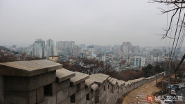 [서울 도심 산책] 성곽길 따라 봄맞이 힐링 어때요?