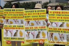 [현장] 선거때라도 관심을...동물보호단체 동물복지 공약 촉구