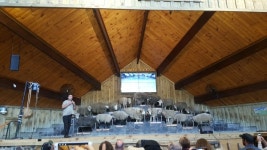 참좋은여행, 호주+뉴질랜드 여행 선봬