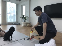 공인 1급 애견 훈련사와 함께 하는 강아지 방문훈련, 시우스쿨링만의 맞춤 과외