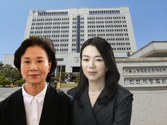 밀수혐의 한진家 이명희·조현아 '징역형'...대한항공은 벌금 5000만원 구형(종합)