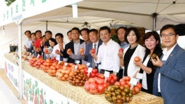 광주시, 제17회 퇴촌토마토축제 성황리 개최