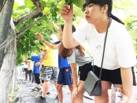 [포토뉴스] 탱글탱글한 포도 바라보는 율길초 동심들