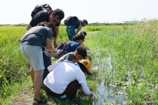 서산버드랜드, 여름방학 특별프로그램 운영