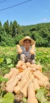 호박 한 덩이로 6차산업을 일군 호박농부 최근명