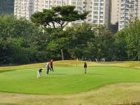 [포토뉴스] 울긋불긋 단풍과 함께... 하남시장기 골프대회
