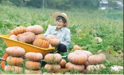호박으로 인생을 바꾼 남자… 최근명 참샘골호박농원 대표