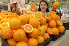 롯데마트, 전 점포서 선키스트 카라카라 오렌지 판매