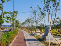 광양시 신덕로, 걷고 싶은 가로수길로 탈바꿈