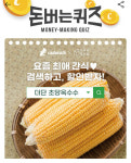 더단 초당옥수수 캐시워크 돈버는퀴즈 정답은?