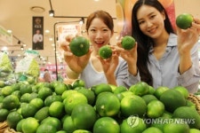 이마트·롯데마트·홈플러스 등 대형마트 대부분 정상영업