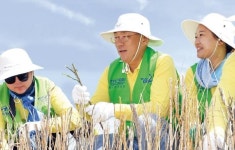 정의선의 인류 위한 진보…현대차가 5060 재취업 나선 까닭
