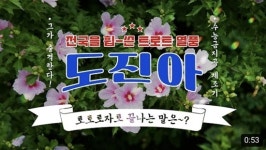 신구로 도진아 떴다!…서울 서남부 쇼핑 명소 오른 NC신구로