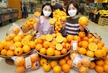 오렌지 종류가 5개나?…이마트, 상품 다양화 나섰다