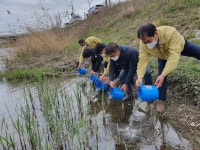 [5일 보성군 소식] 칠동천∙득량천∙보성강에 은어 치어 8만 마리 방류 등