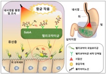 [10일 대학가 소식] 가톨릭대·광운대·중앙대·상명대·사이버한국외대