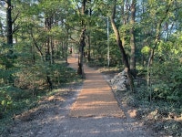 [21일 광주광역시 동구 소식] 도심 속 등산로 정비 등