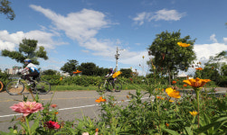 [오늘 날씨] 수도권 31도·동해안 25~28도⋯ 소나기 조심하세요