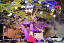 [14일 군산시 소식] 120생활민원 종합상황실 운영 등