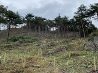 [23일 순천시 소식] 멀티형 스포츠파크 단지 조성 등