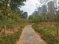[10일 인천 남동구 소식] 늘솔길근린공원 미세먼지 차단 숲 조성 등