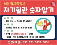 [1일 안성시 소식] 7일까지 과대포장·분리배출 표시 집중점검 등