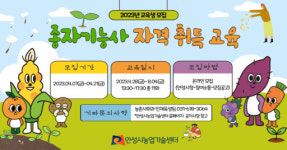 [7일 안성시 소식] 상반기 도로환경 조성…주·보행 환경개선 기대 등