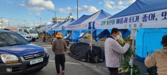 [6일 인천 강화군] 지역 김장 농산물 거래 김장 시장 개장 등
