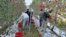 [7일 영덕군] 수산업 고용주와 외국인 계절근로자 교육 등