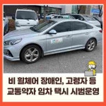 [8일 안성시] 가을철 산불방지 종합대책 본격 추진 등
