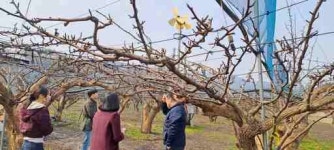 [9일 안성시] 과수 저온피해 예방 ‘총력 대응’ 등