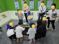 [11일 인천 부평구] 인천나비공원, 곤충 체험행사 운영 등
