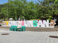 혈세 85억원 투입된 양평군 용문산 확장도로⋯ 축제기간 심각한 교통 혼잡 여전