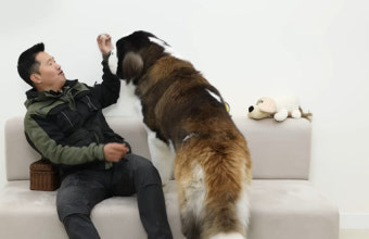함께 방송한 견주도 강형욱 향한 폭로 예고⋯ 누리꾼들 