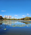 고양시, 일산호수공원 새단장⋯ 경관∙디자인 개선하고 북카페 조성