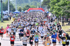[5일 양평군] 오는 7일 양평 밀 축제 개최 등