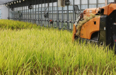 ‘40대·남성·혼자’ 시골行… 귀촌·귀농·귀어 가구수 2년 연속 감소